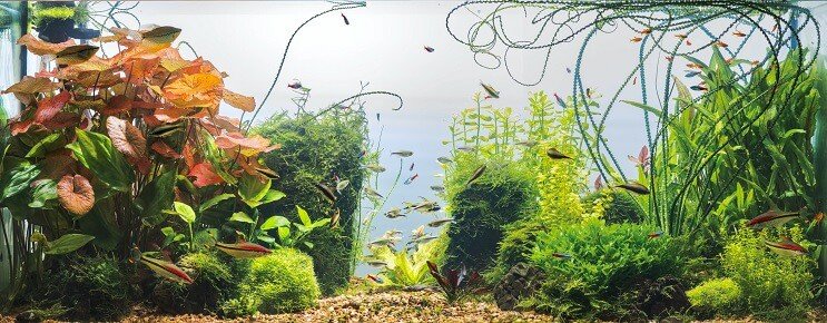 Услови резервоара за трешњу