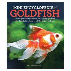 Мини енциклопедија за златне рибице